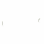 custom1991538545-png